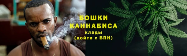 мдма Новодвинск