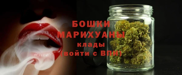 мдма Новодвинск
