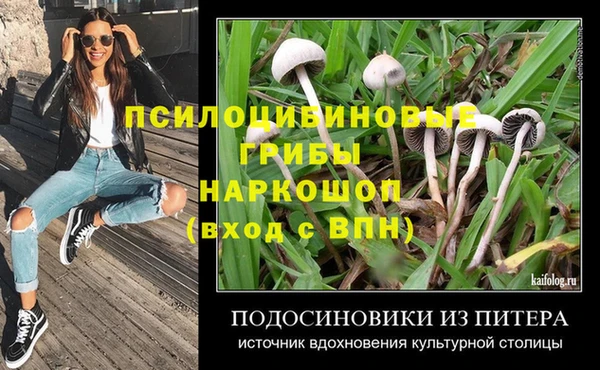 мдма Новодвинск