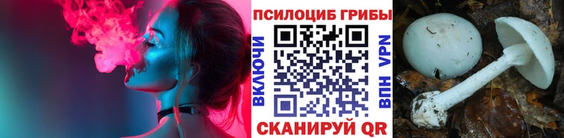 закладка  Чишмы  Псилоцибиновые грибы мухоморы 